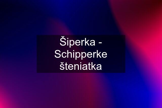 Šiperka - Schipperke šteniatka