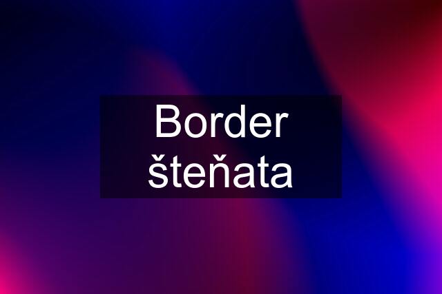 Border šteňata