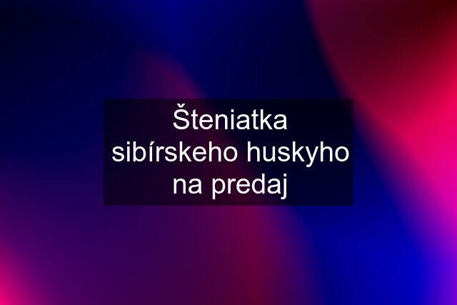 Šteniatka sibírskeho huskyho na predaj