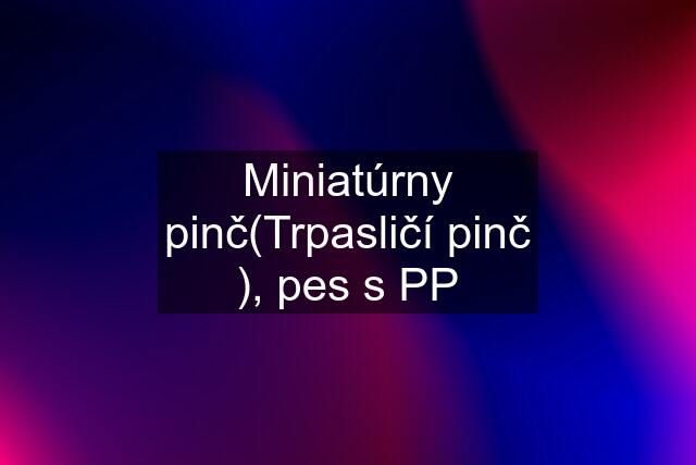 Miniatúrny pinč(Trpasličí pinč ), pes s PP