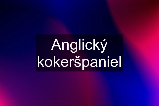 Anglický kokeršpaniel