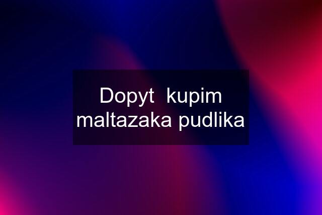 Dopyt  kupim maltazaka pudlika