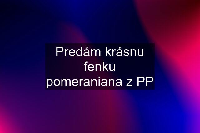 Predám krásnu fenku pomeraniana z PP