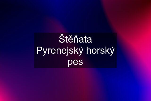 Štěňata Pyrenejský horský pes