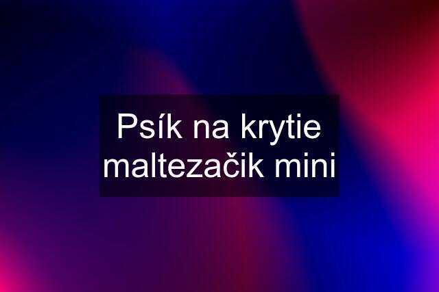 Psík na krytie maltezačik mini