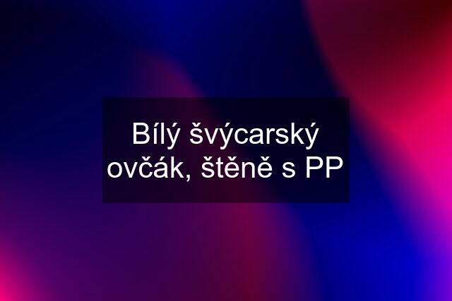 Bílý švýcarský ovčák, štěně s PP