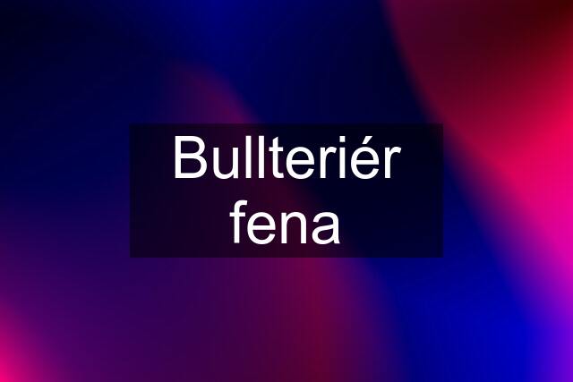 Bullteriér fena