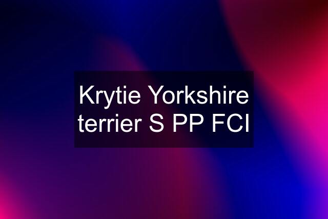 Krytie Yorkshire terrier S PP FCI