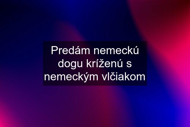 Predám nemeckú dogu kríženú s nemeckým vlčiakom