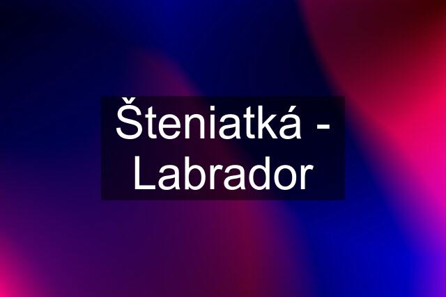 Šteniatká - Labrador