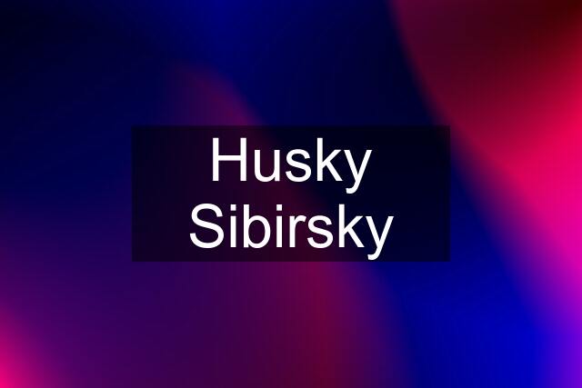 Husky Sibirsky