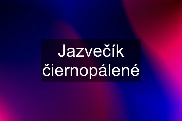 Jazvečík čiernopálené