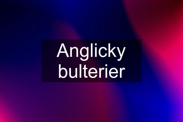 Anglicky bulterier