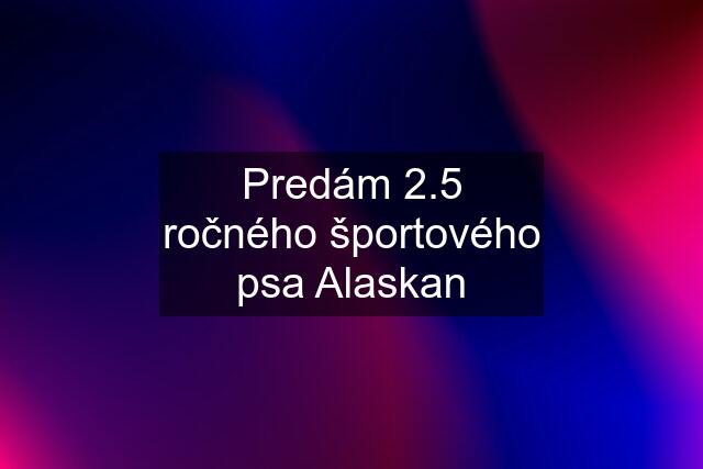 Predám 2.5 ročného športového psa Alaskan