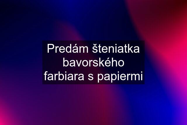 Predám šteniatka bavorského farbiara s papiermi