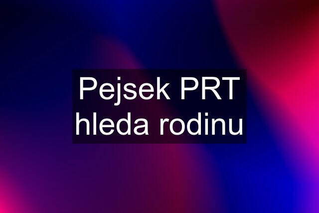 Pejsek PRT hleda rodinu