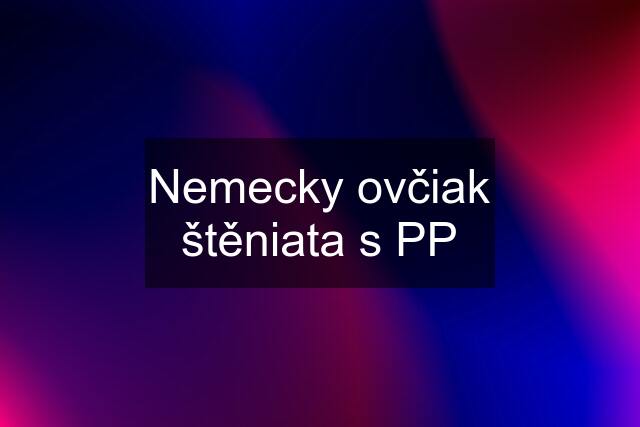 Nemecky ovčiak štěniata s PP