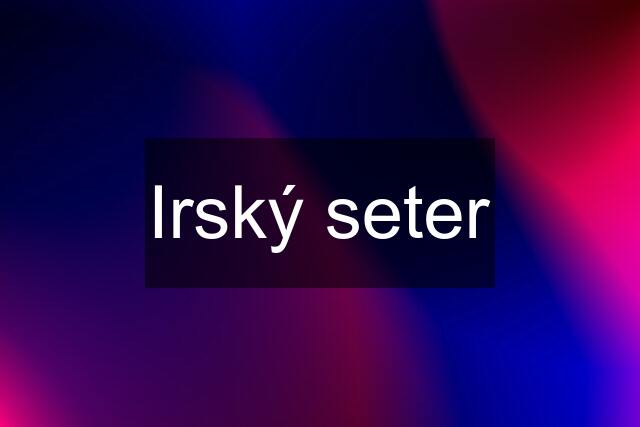 Irský seter