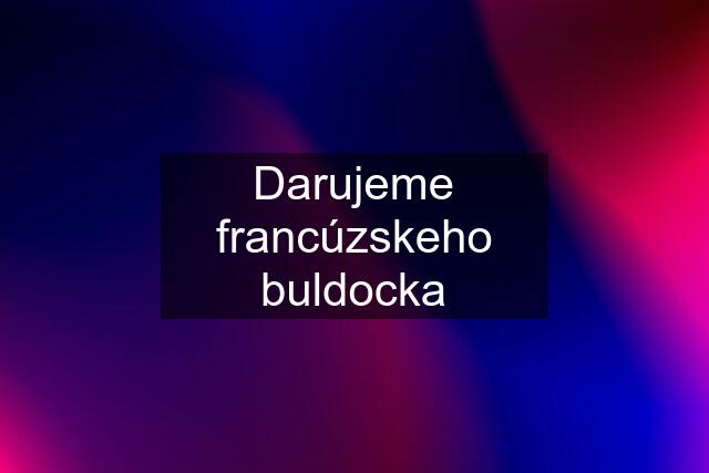 Darujeme francúzskeho buldocka