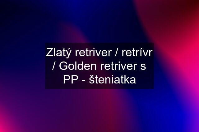 Zlatý retriver / retrívr / Golden retriver s PP - šteniatka