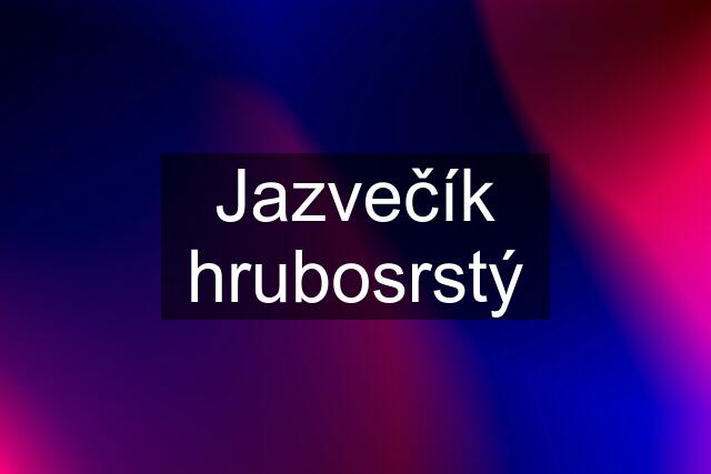 Jazvečík hrubosrstý