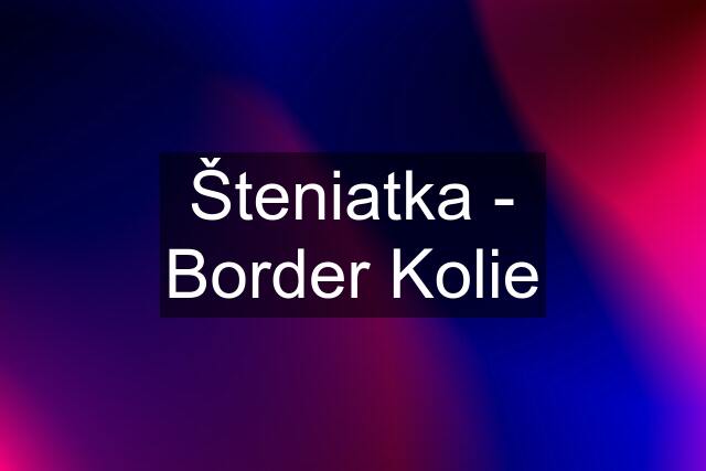 Šteniatka - Border Kolie