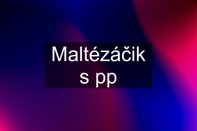 Maltézáčik s pp