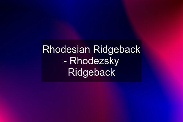 Rhodesian Ridgeback - Rhodezsky Ridgeback