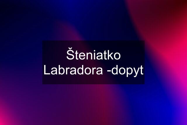 Šteniatko Labradora -dopyt