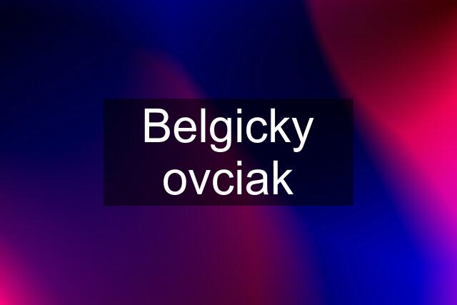 Belgicky ovciak