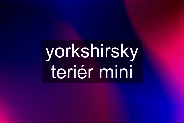 yorkshirsky teriér mini