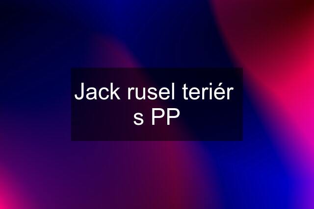 Jack rusel teriér  s PP