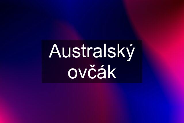 Australský ovčák