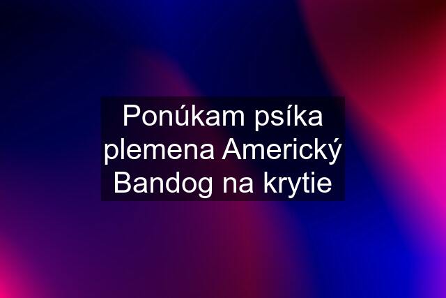 Ponúkam psíka plemena Americký Bandog na krytie