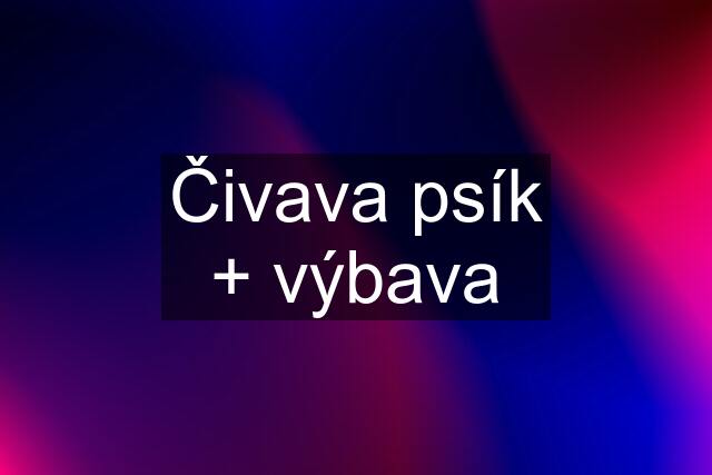 Čivava psík + výbava