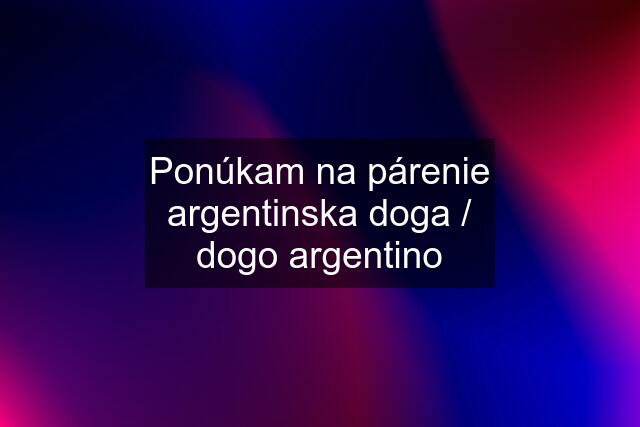 Ponúkam na párenie argentinska doga / dogo argentino