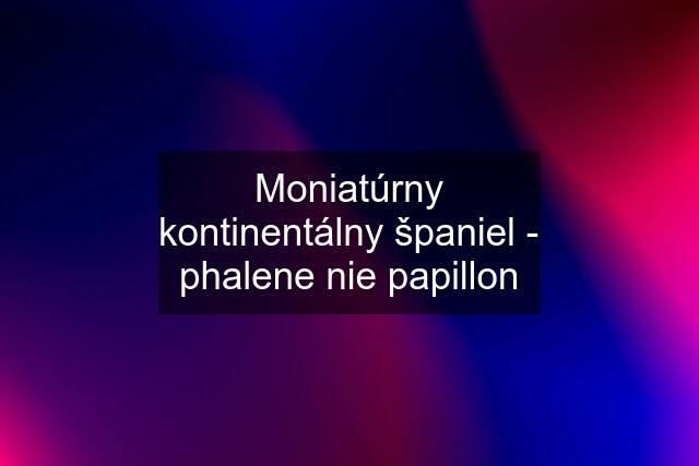 Moniatúrny kontinentálny španiel - phalene nie papillon