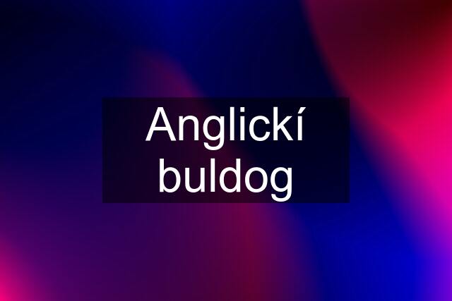 Anglickí buldog