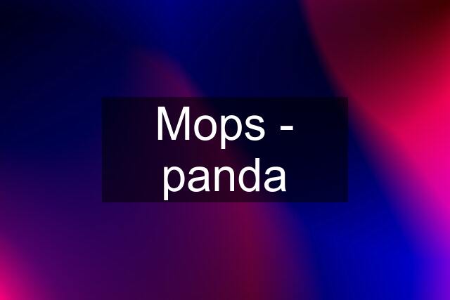 Mops - panda