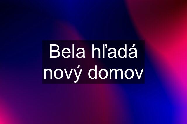 Bela hľadá nový domov