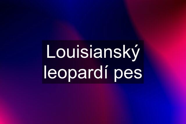 Louisianský leopardí pes