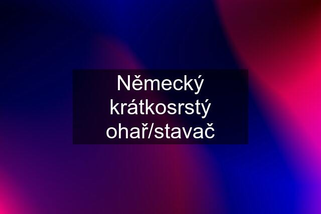 Německý krátkosrstý ohař/stavač