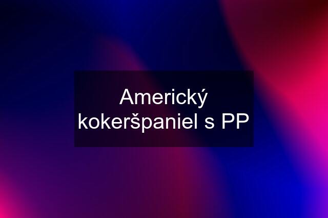 Americký kokeršpaniel s PP