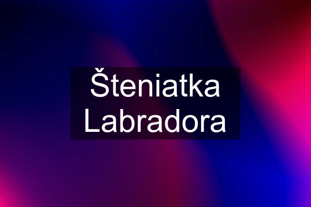 Šteniatka Labradora