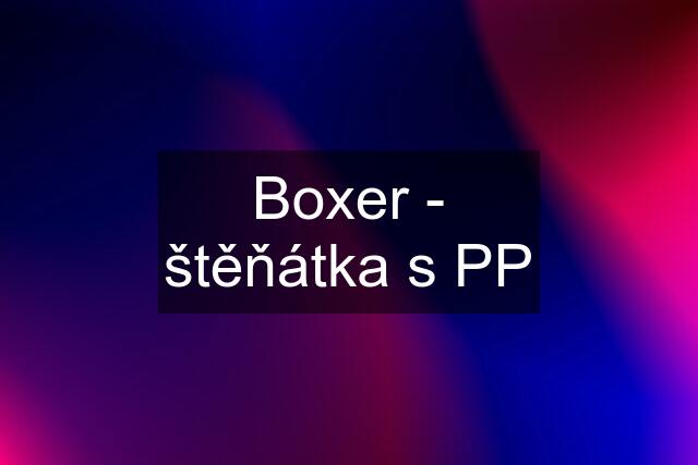 Boxer - štěňátka s PP