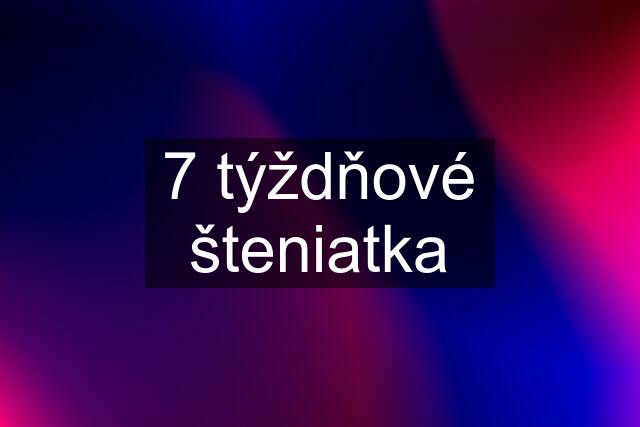 7 týždňové šteniatka