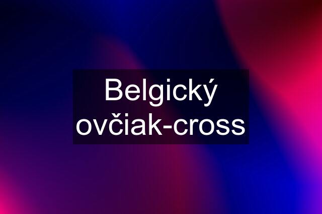 Belgický ovčiak-cross