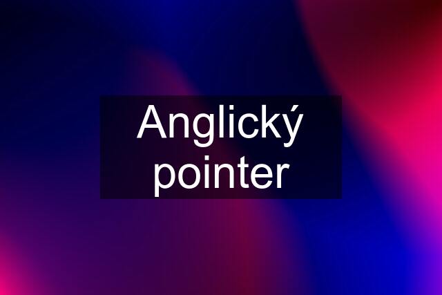 Anglický pointer