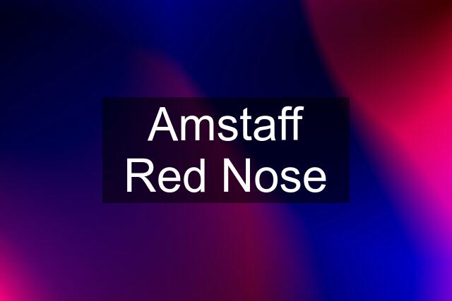 Amstaff Red Nose