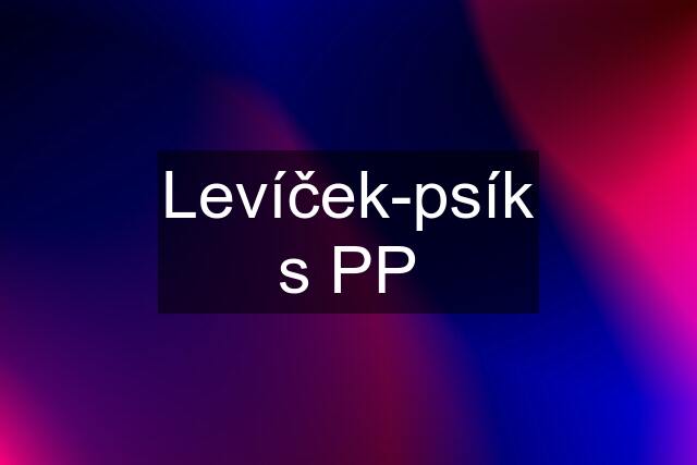 Levíček-psík s PP